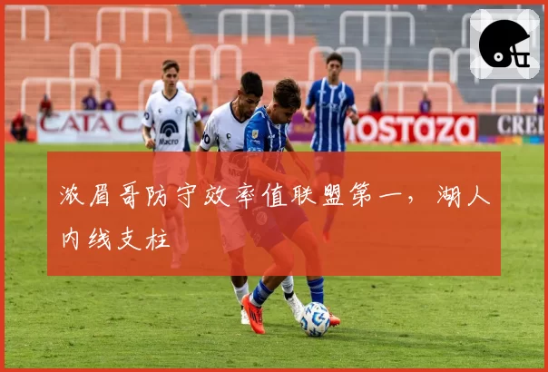 浓眉哥防守效率值联盟第一，湖人内线支柱