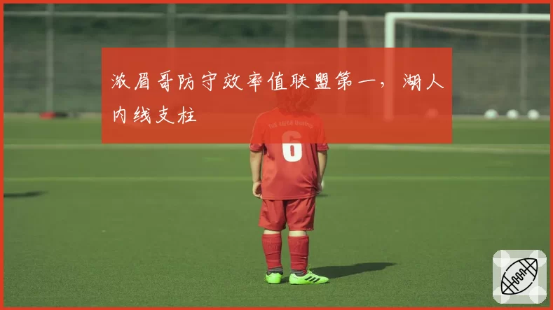 浓眉哥防守效率值联盟第一，湖人内线支柱