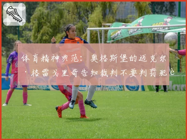 体育精神典范：奥格斯堡的迈克尔·格雷戈里奇告知裁判不要判罚犯规